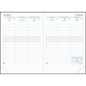 Exacompta 17840E - Recharge agenda semainier 9x17,5 Espace 17 FR, tranche or