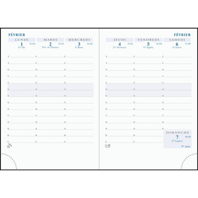 Recharge Agenda 2024 EXACOMPTA Espace 17 tranche or - 175x90mm - 1 semaine  sur 1 page + NOTE - HORIZONTAL