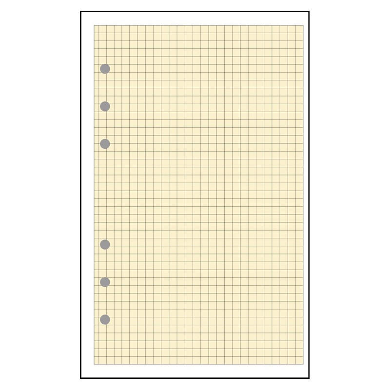 Recharge Exacompta Exatime 17 - 44 Feuilles Quadrillées 5x5 Pour Organisateur - Réf. 18511E
