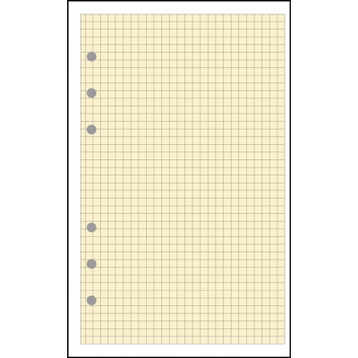 Recharge EXACOMPTA pour Exatime 21 - bloc quadrillé 5x5mm ivoire - 40 feuillets