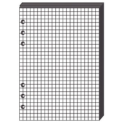 Recharge QUOVADIS Notes papier quadrillé blanc 10 x 17cm pour TIMER 17