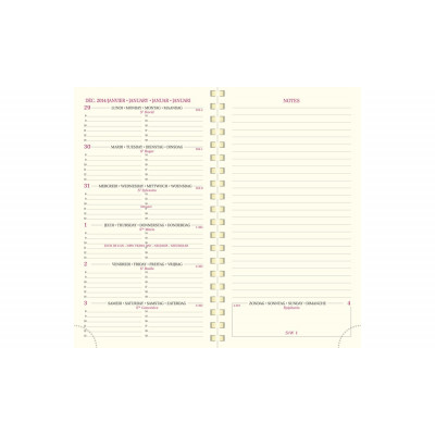 Exacompta - Agenda de poche Journal 15S Quadrillé Swan spiralé 9 x 14,6 cm  Janvier à Décembre 2024 - Couleurs assorties