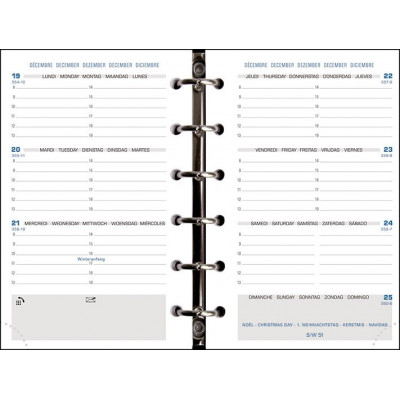 Exacompta Exatime 17 Light Philae January 2017 Organiser With January - View #7