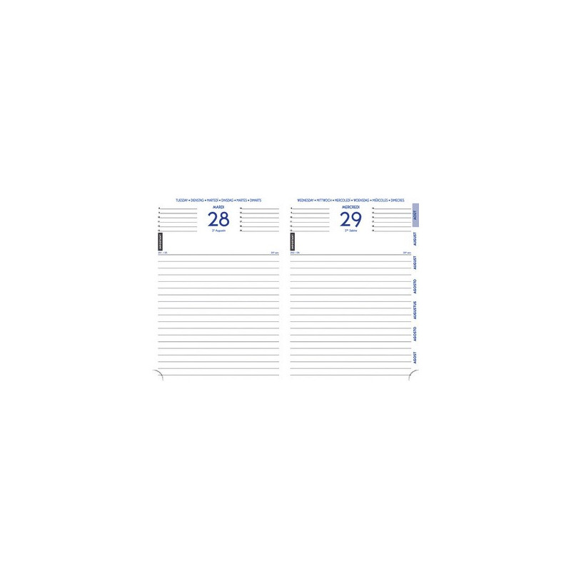 Agenda Forum Winner 12x17 Cm Journalier Août 2025 - Juillet 2026 Vert Foncé - Exacompta