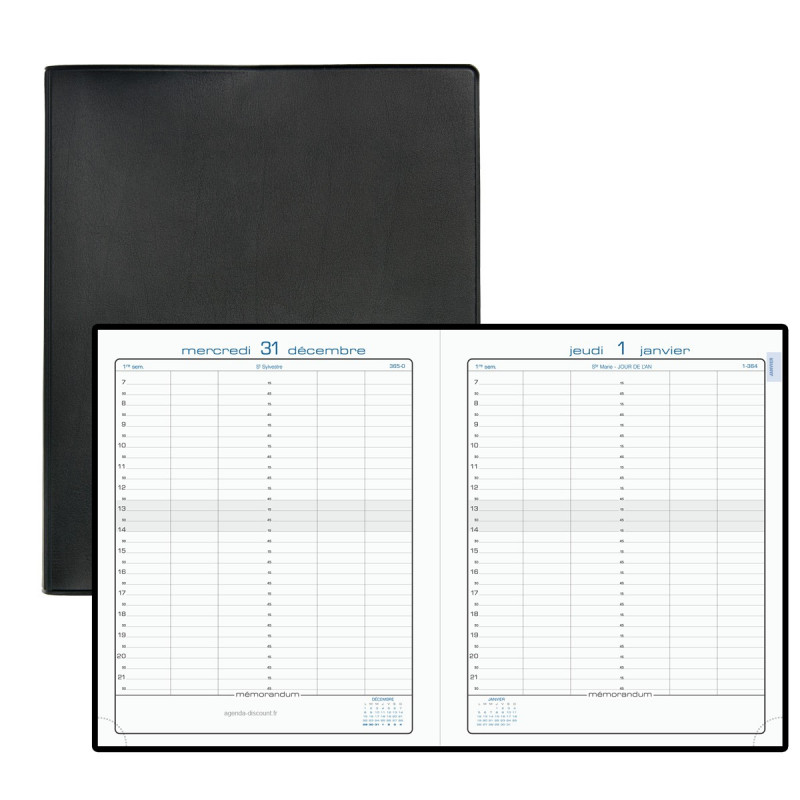 Exacompta 22412E - Agenda Journalier De Bureau Journée Planifiée