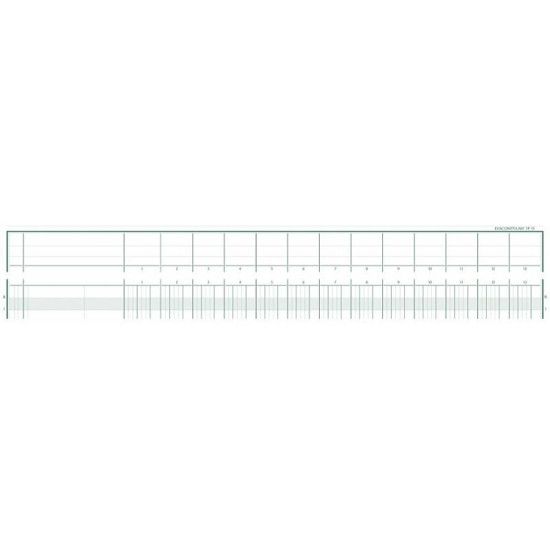 Registro Contabile Exacompta 13 Colonne | 80 Pagine | Formato 27x32 Cm