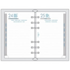 RECHARGE AGENDA EXATIME 14 CARTE DE VISITE 8.1x12.6cm - lot de 5