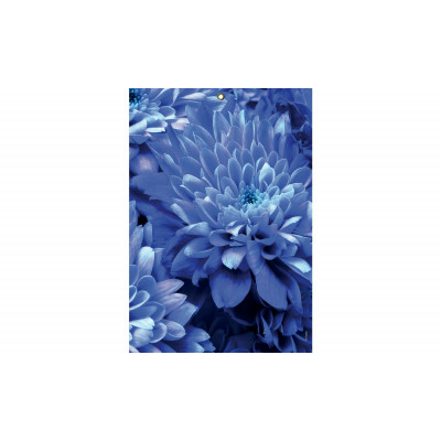 LECAS Bloc Ephéméride 6x9 cm sur plaque 17 x 25 cm1 jour/page bleu