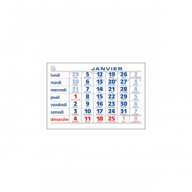 Agenda Exacompta - Bloc éphéméride neutre Fleurs (6,5 x 9,7 cm) sur plaque  imprimée 18 x 26 cm 2024