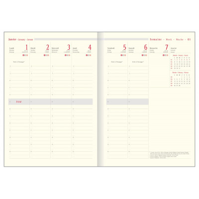 Recharge agenda OBERTHUR Classique 30 - 21x29,7cm - 1 semaine sur 2 pages