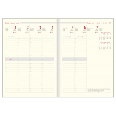 Recharge agenda OBERTHUR Classique 30 - 21x29,7cm - 1 semaine sur 2 pages 