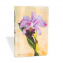 Carnet PAPERBLANKS ligné - Mini  95×140mm - Plantes Peintes série Orchidée Brésilienne