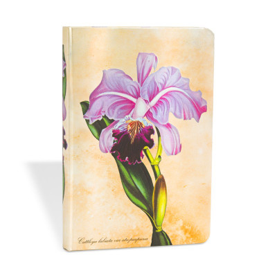 Carnet PAPERBLANKS non ligné - Mini  95×140mm - Plantes Peintes série Orchidée Brésilienne