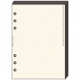 Recharge QUOVADIS Notes papier quadrillé ivoire 10 x 17cm pour TIMER 17