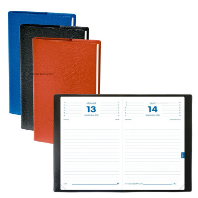 Agenda QUOVADIS Textagenda 12 x 17 cm - 1 jour par page (COLORIS ALEATOIRES)