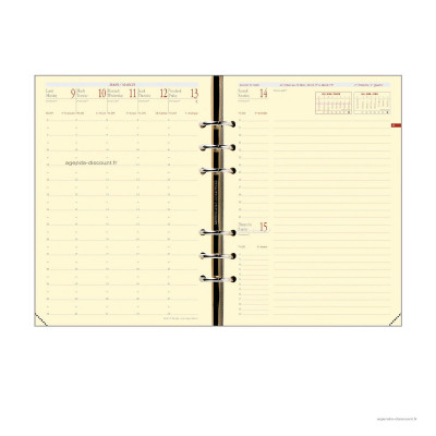 Recharge agenda QUOVADIS Timer 21 prestige 15 x 21cm janvier - décembre + supplément septembre à décembre