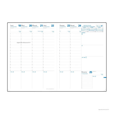 Recharge pour agenda QUOVADIS Consul® 21 x 29,7cm - 1 semaine sur 2 pages avec répertoire