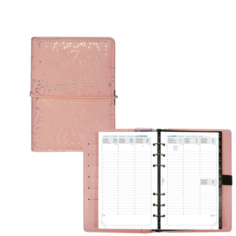 Exacompta 2262722E Agenda Semainier Bureau SAD 22S 18x22 Cm Avec