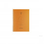 Agenda EXACOMPTA SAD 20W Linicolor - 210x150mm - 1 semaine sur 2 pages - spirale (COLORIS ALEATOIRES)