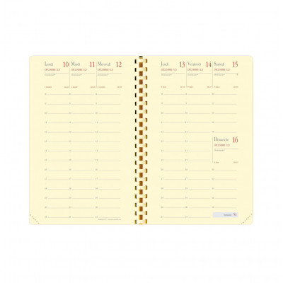 Recharge QUOVADIS Planning 16S 9x16cm  - 1 semaine sur 2 pages Vertical