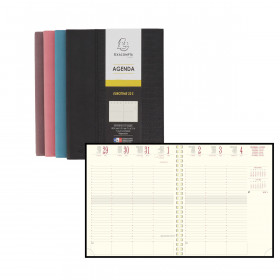 Agenda EXACOMPTA Eurotime 24S Cordoba spirale - 24x16cm - 1 semaine sur 2  pages (COULEURS ALEATOIRES)