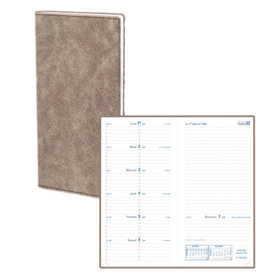 Agenda QUOVADIS Italnote B 8,8x17cm Nacre - 1 semaine sur 1 page Horizontal+NOTE - Or