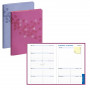 Agenda EXACOMPTA Lady 20 Sakura - 210x150mm - 1 Semaine sur 2 pages (COLORIS ALEATOIRES)