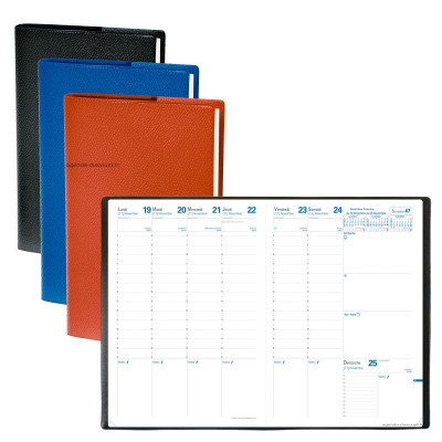 DESTOCKAGE-Agenda QUOVADIS Consul® 21 x 29,7cm - 1 semaine sur 2 pages + répertoire (COLORIS ALEATOIRES)