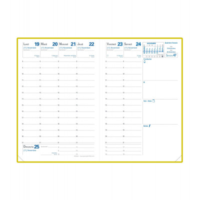 Recharge agenda QUOVADIS Affaires tranche OR 10x15 cm - 1 semaine sur 2 pages + répertoire