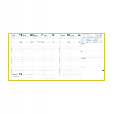 Recharge agenda QUOVADIS EXECUTIF tranche OR + répertoire 16x16cm - 1 semaine sur 2 pages