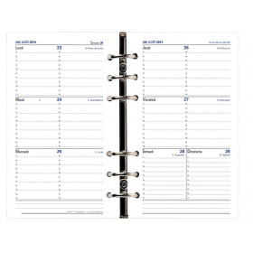 Recharge QUOVADIS Timer 17 horizontal 10 x 17 cm janvier - décembre + supplément septembre à décembre 16mois