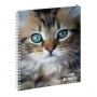 999165E-Cahier de textes Animaux 17 x 22 cm - Chat yeux bleus -