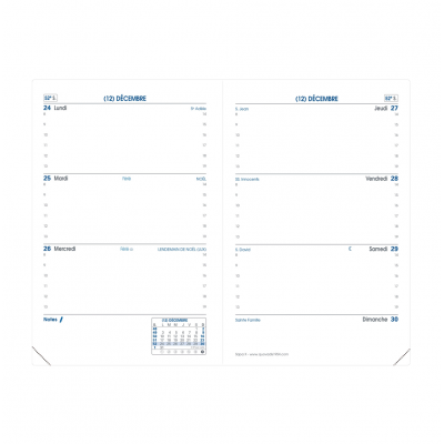 Recharge agenda QUOVADIS SAPA X - 10x15cm - 1 semaine sur 2 pages