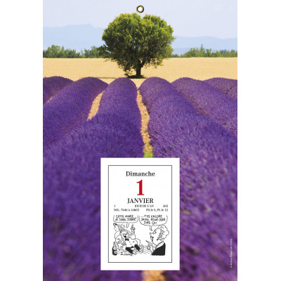 Bloc éphéméride comique EXACOMPTA sur plaque illustré classique - 97x65mm