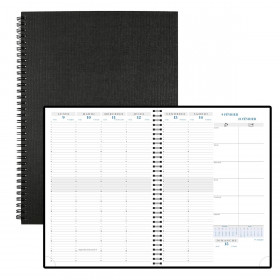 DESTOCKAGE - 296422E-AGENDA À SPIRALE EXACOMPTA CONSULTATIONS W 29,7 X 21 CM - 1 S
