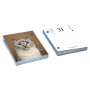 DESTOCKAGE - 71009137-BLOC ÉPHÉMÉRIDE RECHARGE YVON CHATS 120X83MM - 365 JOURS