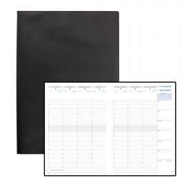 DESTOCKAGE - 294471E-AGENDA EXACOMPTA SAD 29 WINNER NOIR - 305X215X14 MM