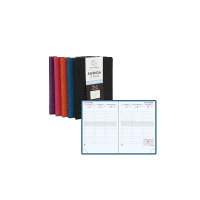 DESTOCKAGE - Agenda EXACOMPTA SAS 13 Winner 9x13cm - 1 semaine sur 2 pages (COLORIS ALEATOIRES)