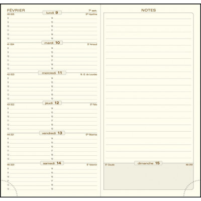 DESTOCKAGE - Recharge EXACOMPTA Espace 17 tranche or - 175x90mm - 1 semaine sur 1 page + NOTE - HORIZONTAL