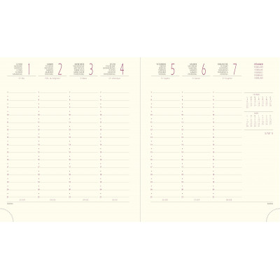 DESTOCKAGE - Recharge EXACOMPTA pour agenda Eurotime 18 - 17x15cm - 1 semaine sur 2 pages - VERTICAL