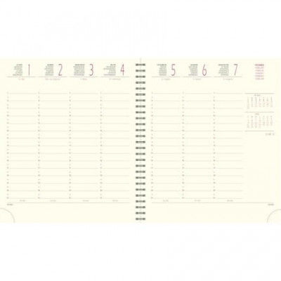 DESTOKAGE - 180842E-RECHARGE AGENDA EXACOMPTA EUROTIME 18S - 15X17CM