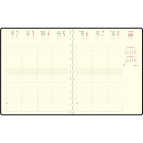 DESTOCKAGE - 22822E-RECHARGE EXACOMPTA POUR AGENDA EUROTIME 22S - 22,5X18,5CM - 1