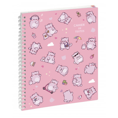 Agenda EXACOMPTA Cahier de textes spirale métal PEMBE 17x22cm