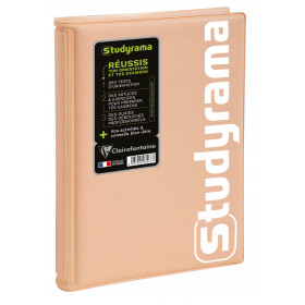Agenda EXACOMPTA Journalier Studyrama Pastel Assortis 14x20 cm
