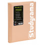 Agenda EXACOMPTA Journalier Studyrama Pastel Assortis 14x20 cm