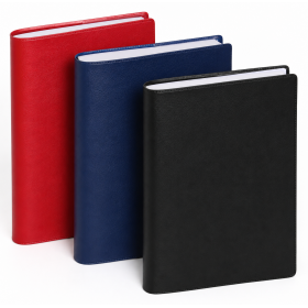 Agenda EXACOMPTA Journal 17 Barbara - 170x120mm - 1 jour par page (COLORIS ALEATOIRES)