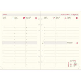 BREPOLS Agenda journalier BREMAX 2 Civil 2024 210 x 290 mm 1J / 2P :  : Livres