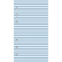 Recharge bloc-note lignés bleu 30 feuillets ivoires pour organiseur OBERTHUR 17 - format 10x17cm