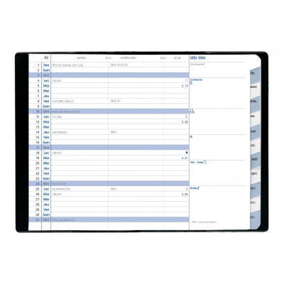 Quo Vadis - Collection : Daisy AFFAIRES Spiralé - Agenda Année Civile