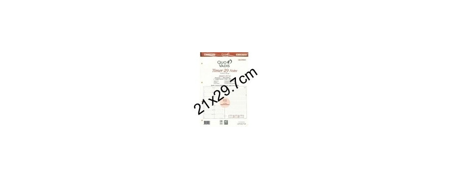 Recharges Timer 29 Quovadis
